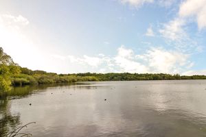 Photo 15- click for photo gallery